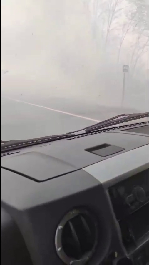 Вблизи Лысогорской птицефабрики вспыхнули посадки