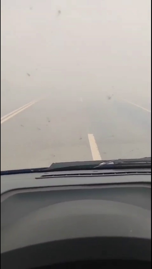 Вблизи Лысогорской птицефабрики вспыхнули посадки