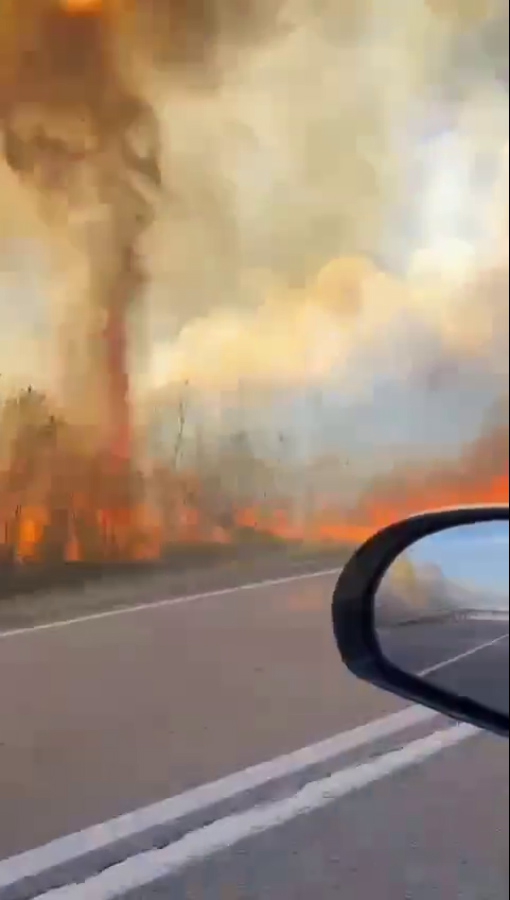 Вблизи Лысогорской птицефабрики вспыхнули посадки