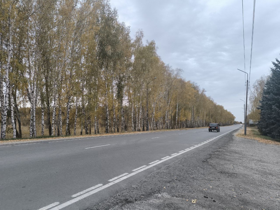 У стелы в Петровске по нацпроекту сделают большой цветник