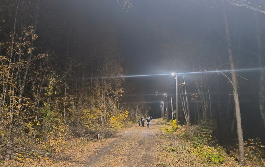 У стелы в Петровске по нацпроекту сделают большой цветник