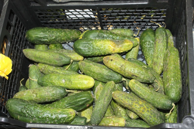 Александр Ландо потребовал закрыть 2 магазина в Саратове