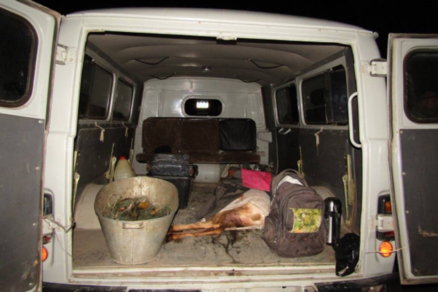 В Вольске полицейские остановили «УАЗ» браконьеров с тушей косули