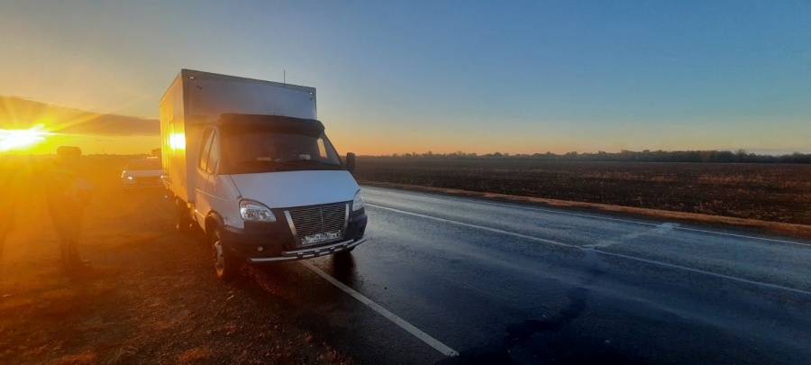 В Советском районе на трассе грузовая «ГАЗель» сбила пешехода