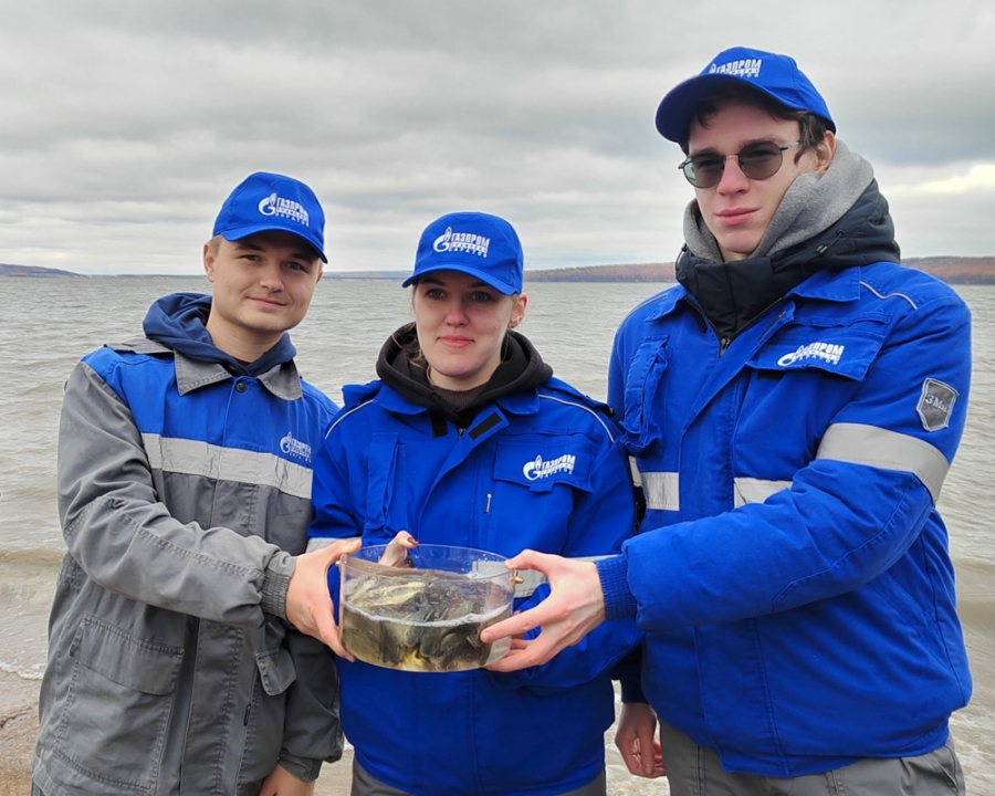 «Газпром трансгаз Саратов» организовал акцию по выпуску молоди сазана в Саратовское и Сурское водохранилища