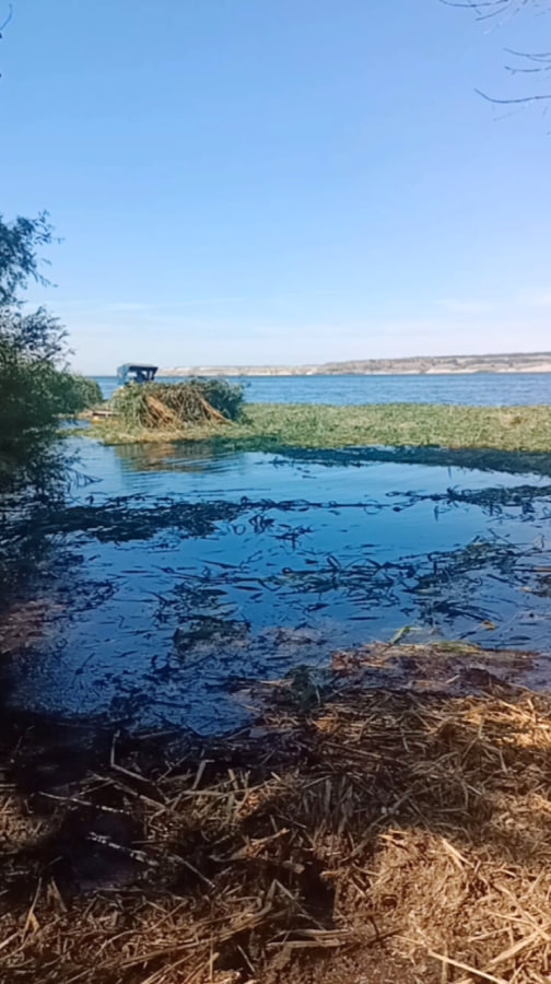 В Ровенском районе расчищают акваторию Волги от зарослей