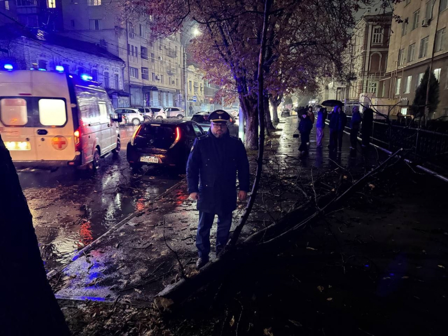 В Саратове возбуждено дело о падении ветки дерева на 16-летнюю девушку
