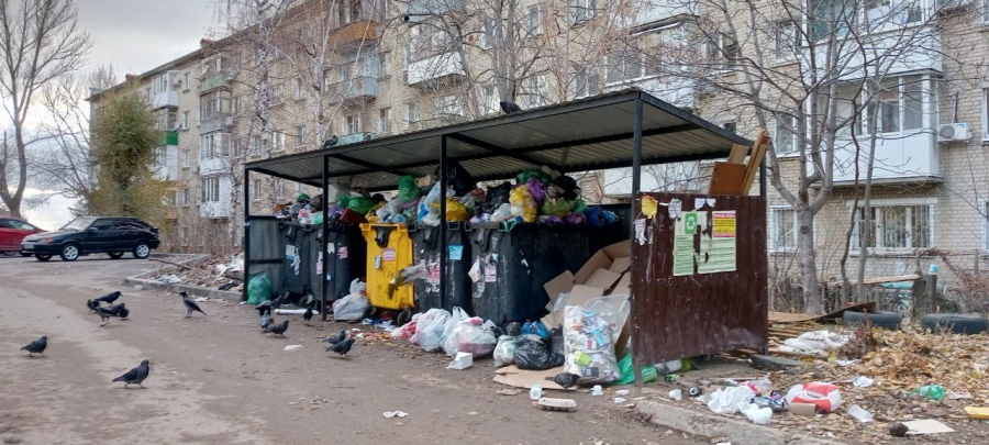 Жители СХИ жалуются на мусорный коллапс и просят сменить регоператора