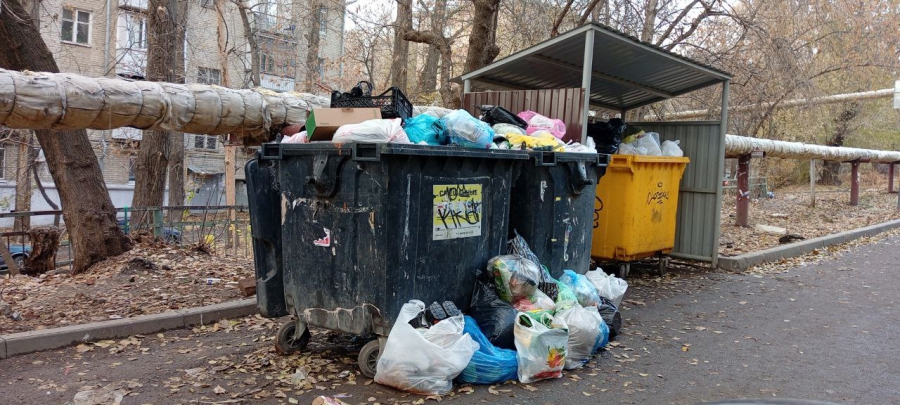 Жители СХИ жалуются на мусорный коллапс и просят сменить регоператора