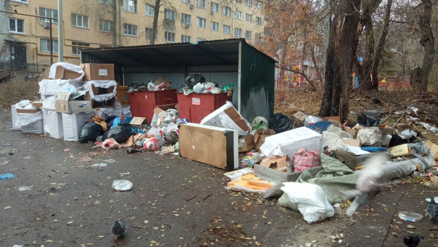 Жители СХИ жалуются на мусорный коллапс и просят сменить регоператора