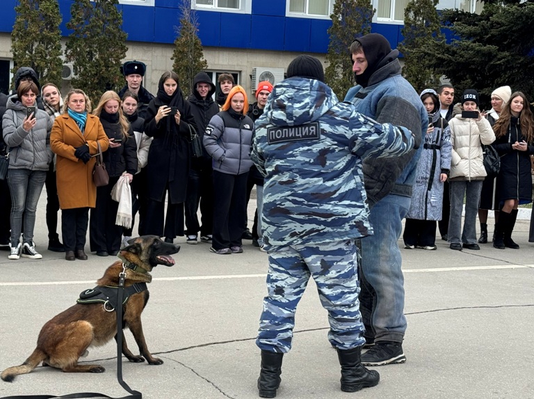 В Саратове полицейские разрешили детям погладить Зевса и посидеть в машине ДПС