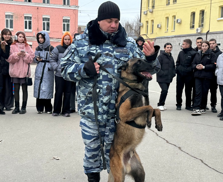 В Саратове полицейские разрешили детям погладить Зевса и посидеть в машине ДПС