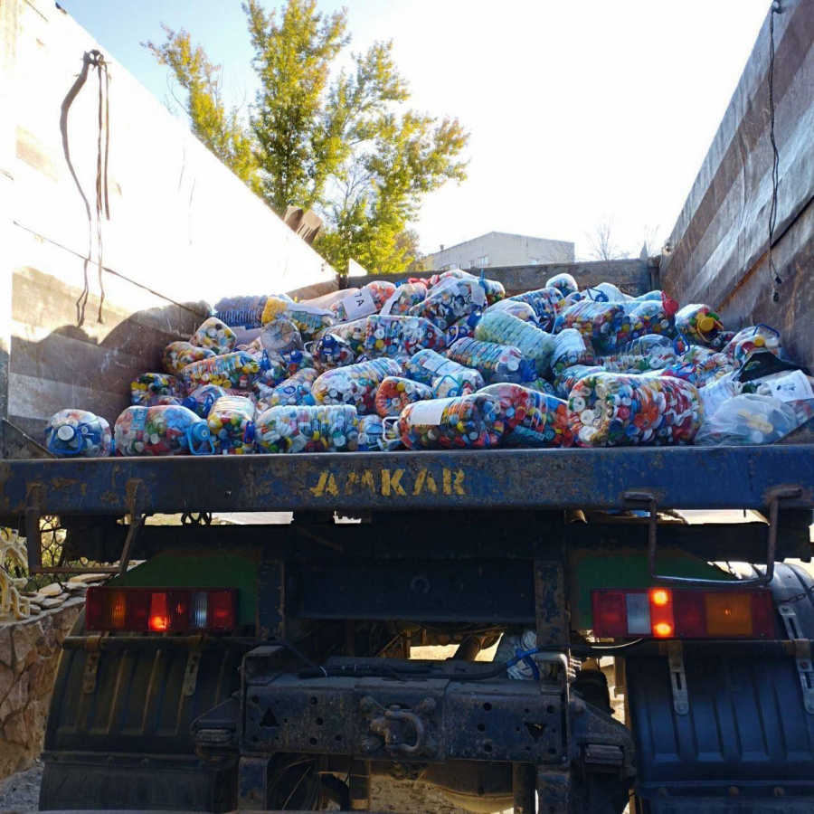 Саратовские волонтеры намерены выпустить в Волгу 4 тысячи мальков