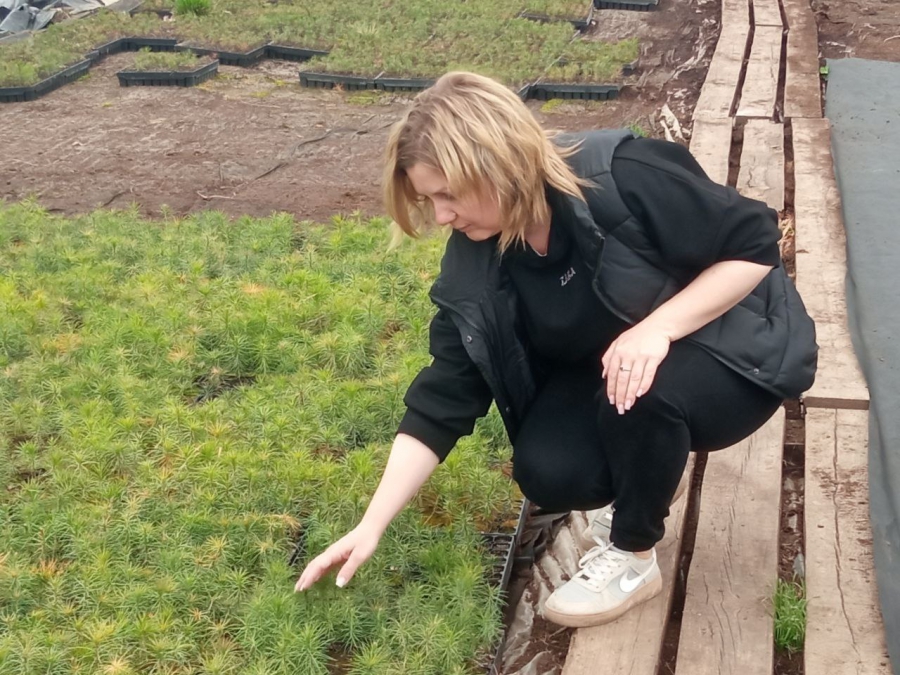 Саратовская область вошла в топ-3 по ПФО по наращиванию площади лесов