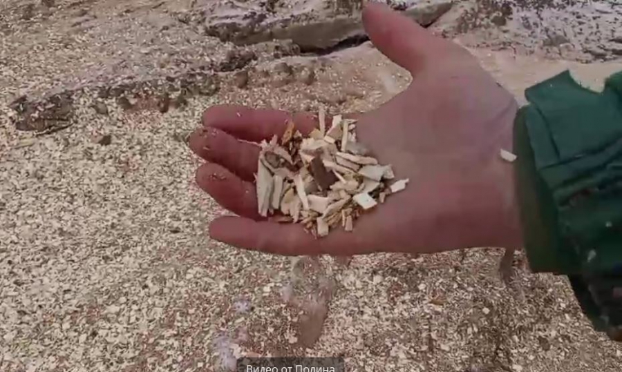 Кумысную поляну весной 2025 года расчистят от бурелома