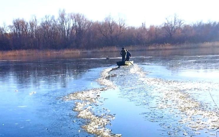 Под Хвалынском спасли замерзавшего на озере «гадкого утенка»