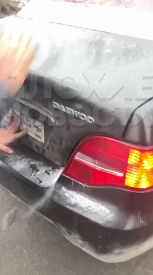 В Саратове живодер связал собаку и бросил в багажник автомобиля