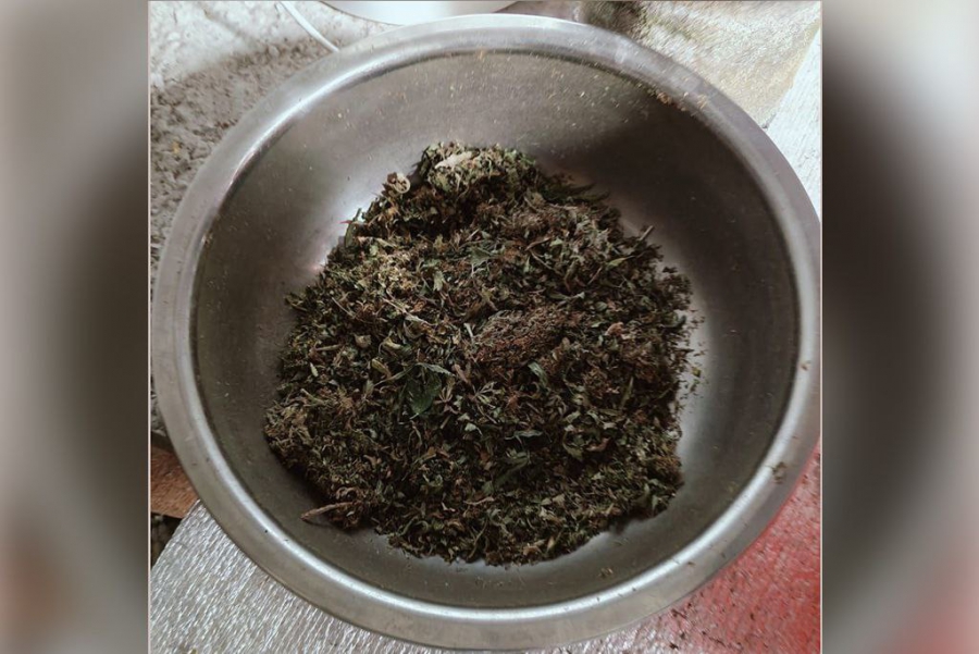 В Волжском районе полицейские нашли в подвале ферму с коноплей