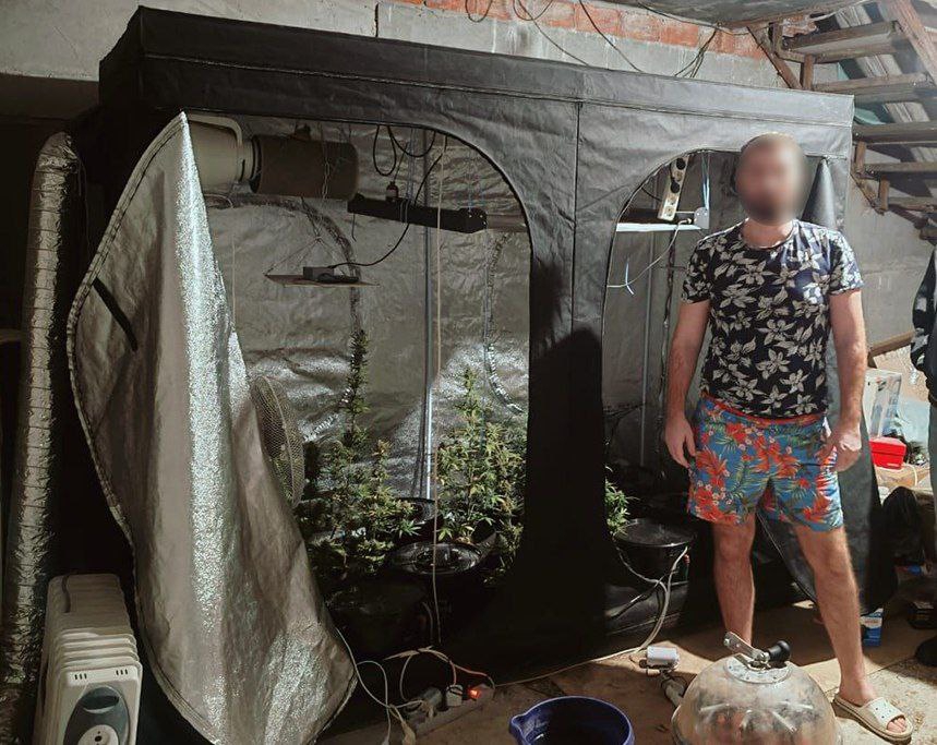 В Волжском районе полицейские нашли в подвале ферму с коноплей
