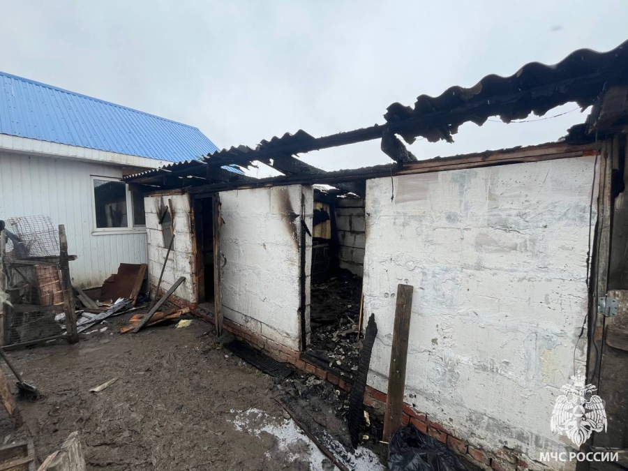 В Татищеве на пожаре сгорели два десятка куриц