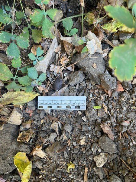 Саратовец ждет суда за закладки с наркотиками и отмывание 900 тысяч рублей