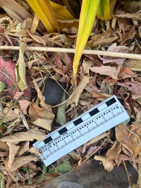 Саратовец ждет суда за закладки с наркотиками и отмывание 900 тысяч рублей