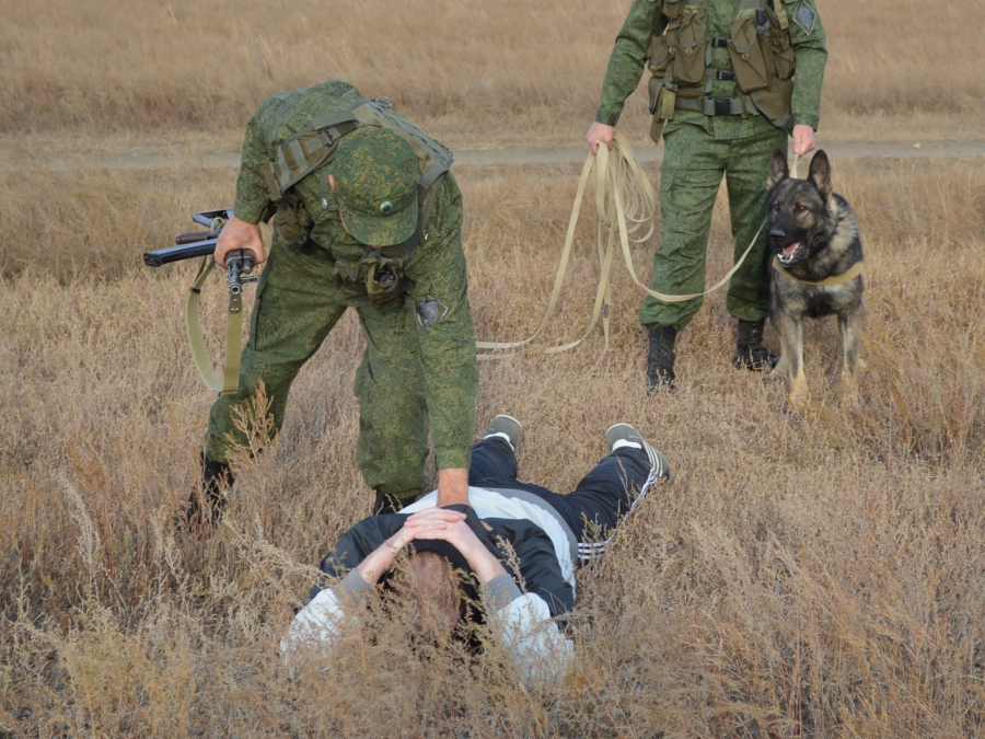 Граждан Афганистана осудили в Саратовской области за незаконный переход границы