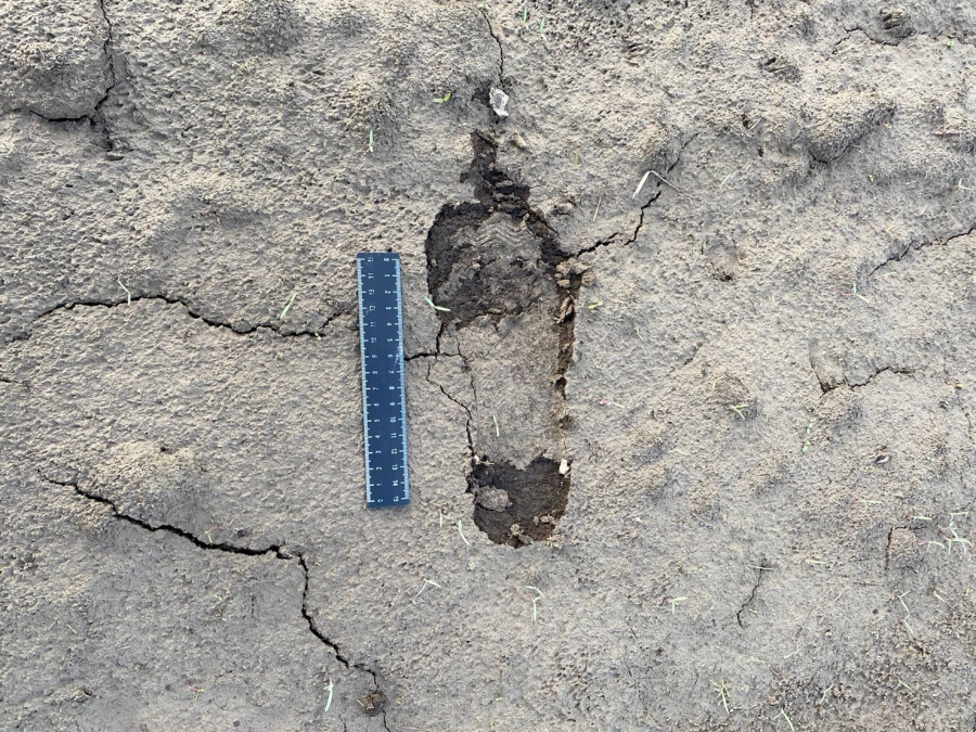 Граждан Афганистана осудили в Саратовской области за незаконный переход границы