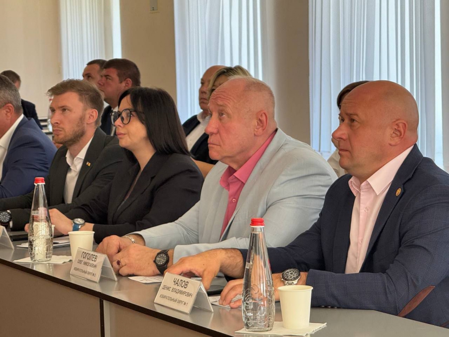 В Энгельсе администрация создаст «зеленую комиссию»