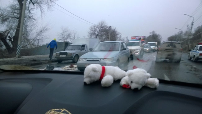 «Ауди» с «красивым» номером протаранил молоковоз и маршрутку
