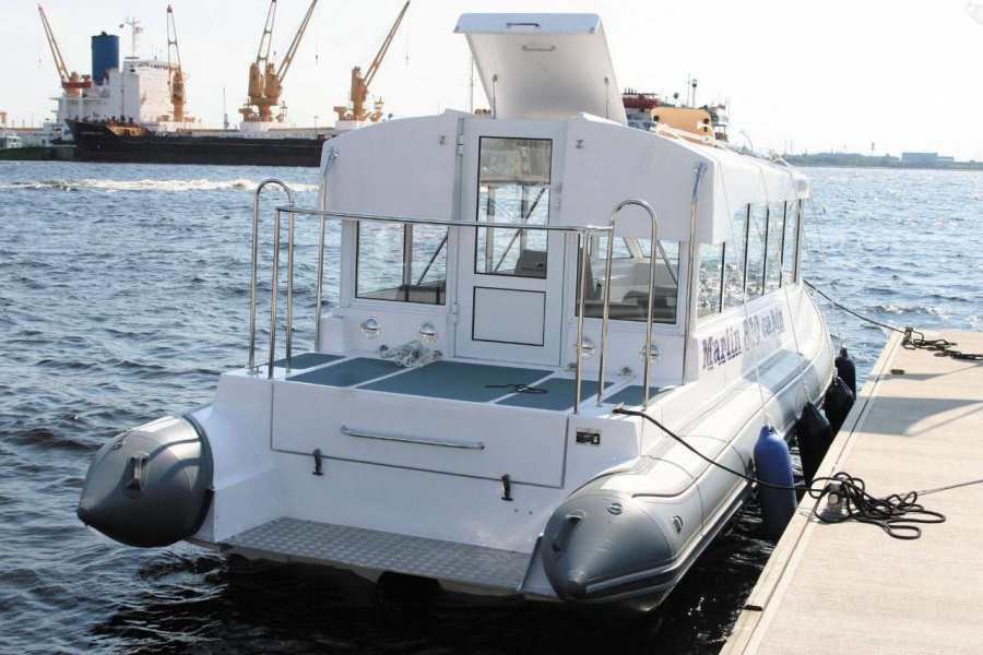 В Саратове для перевозки пассажиров в аэропорт закупят два речных такси