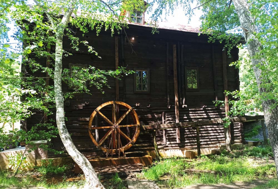 В селе Новобурасского района на новой экотропе установят мозаичную лавочку