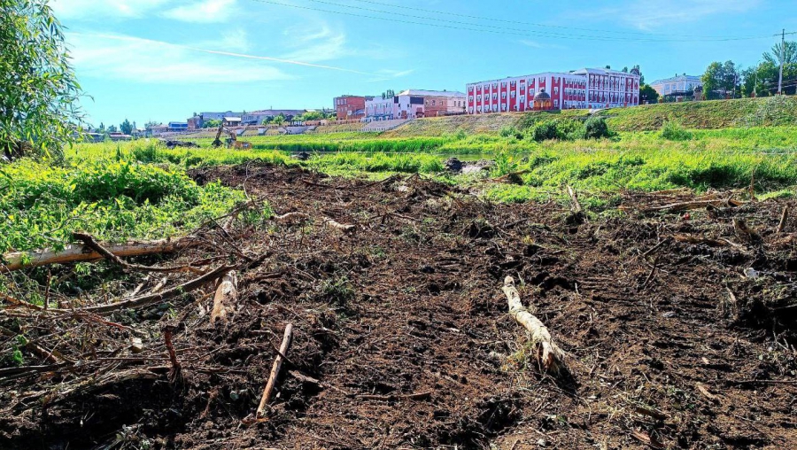 Работы по расчистке Хопра привели к заиливанию пляжа и недовольству балашовцев