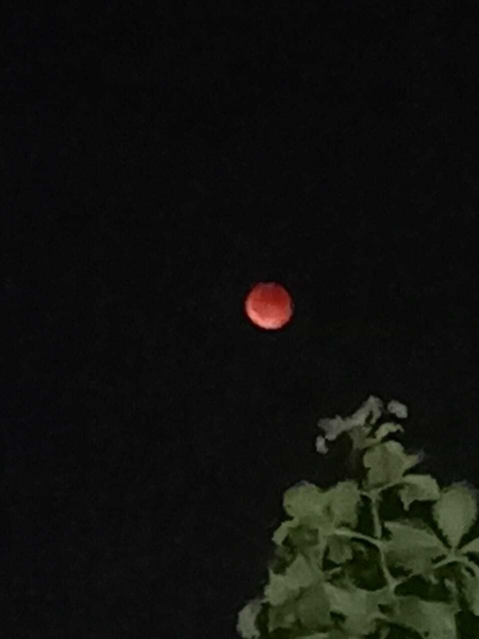 Жители Саратовской области любовались «кровавой Луной»