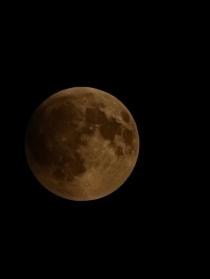 Жители Саратовской области любовались «кровавой Луной»