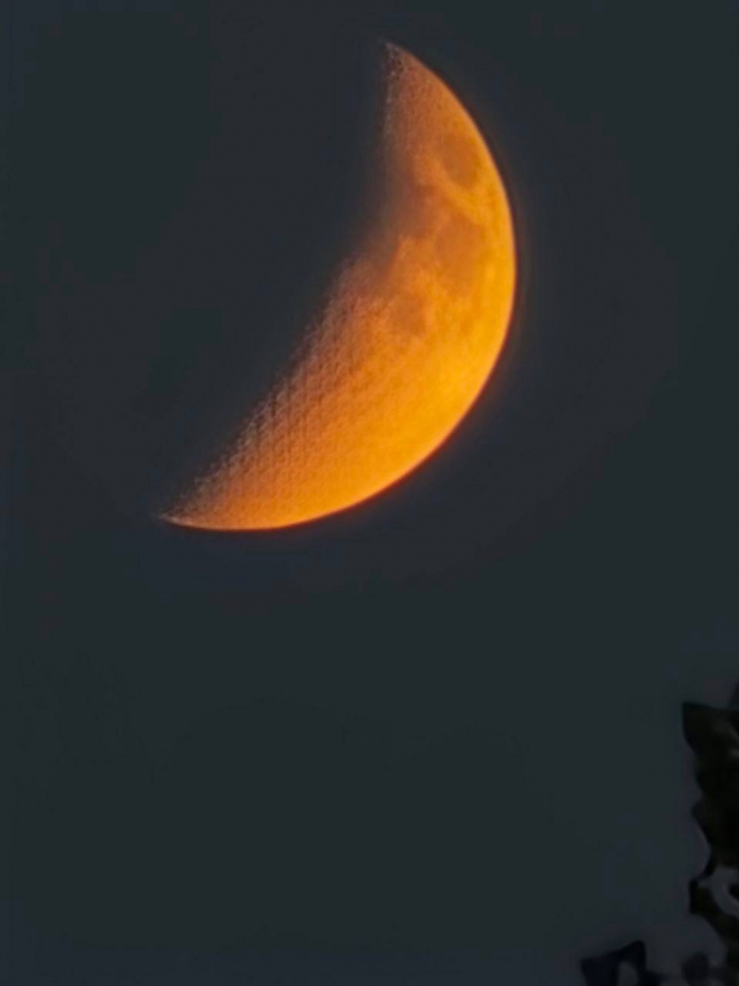 Жители Саратовской области любовались «кровавой Луной»