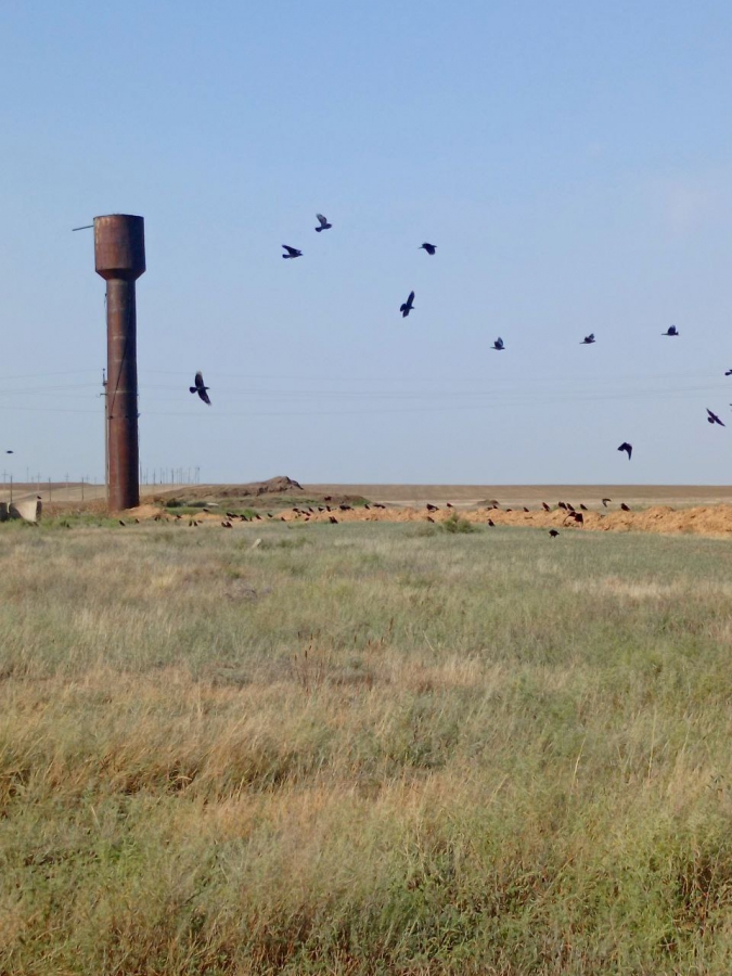 В Новоузенском районе в пяти селах обновили водопроводные коммуникации