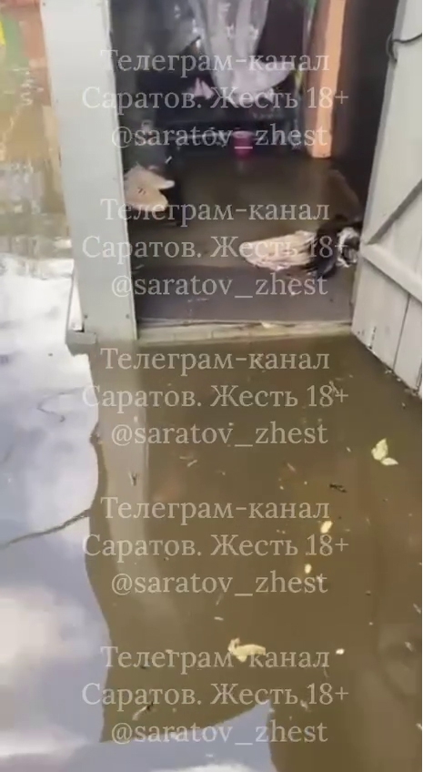 Жители Саратова жалуются на затопленные улицы из-за череды коммунальных аварий