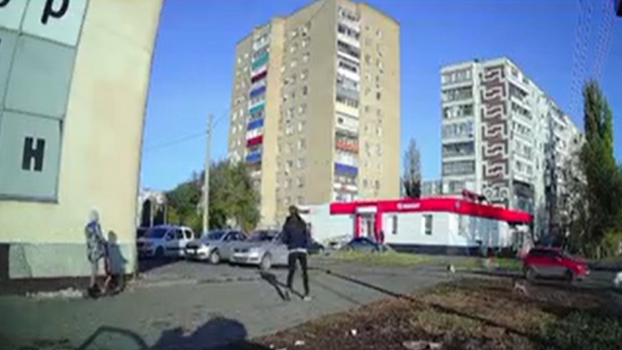 В Балакове неравнодушный горожанин спас ребенка от нападения бездомных собак