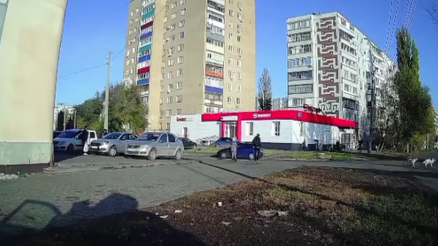 В Балакове неравнодушный горожанин спас ребенка от нападения бездомных собак