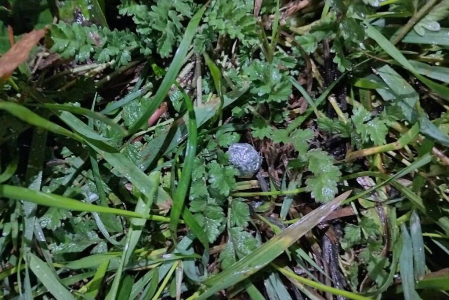 Саратовец стал фигурантом уголовного дела за распространение смеси с героином