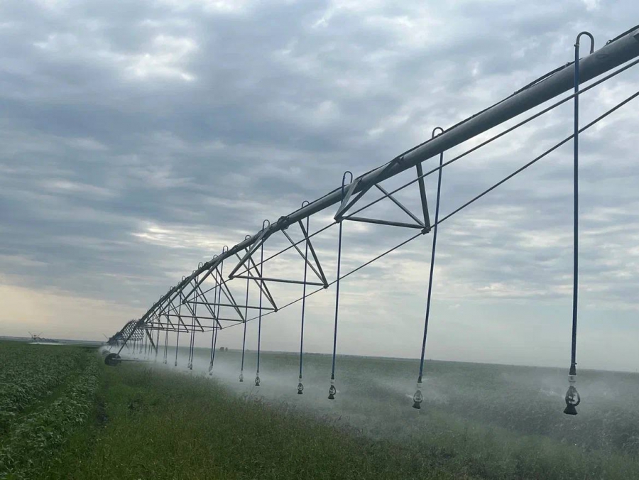 В Саратовской области установили исторический рекорд по валовому сбору сои