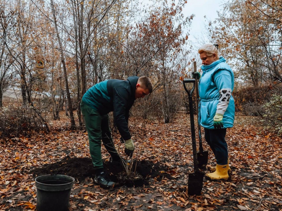 В сквере «Территория детства» высадят более 200 новых деревьев