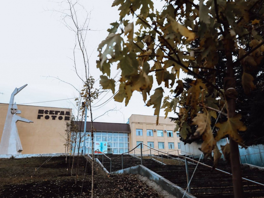 В сквере «Территория детства» высадят более 200 новых деревьев