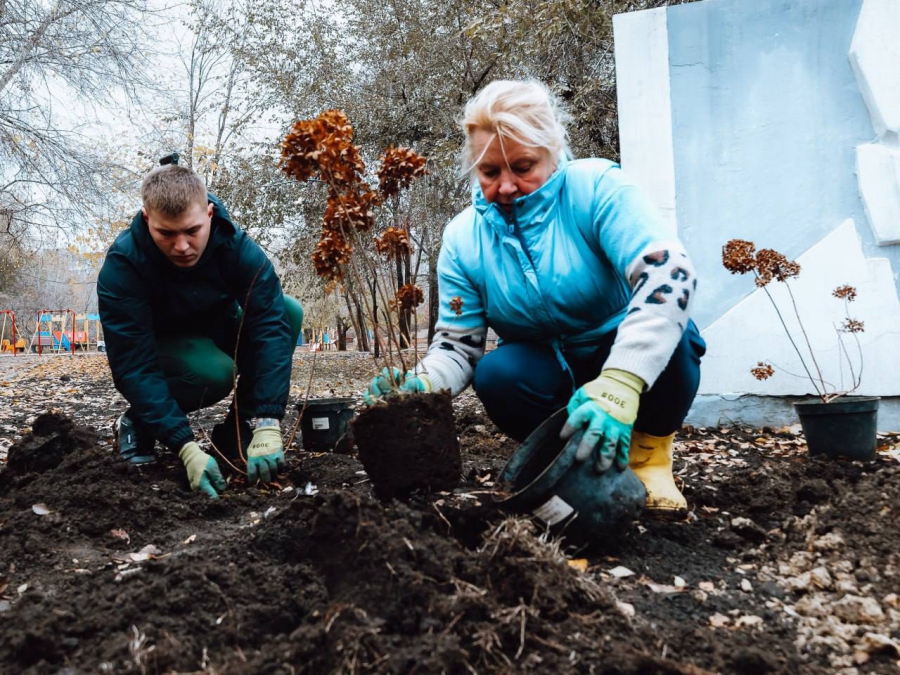 В сквере «Территория детства» высадят более 200 новых деревьев