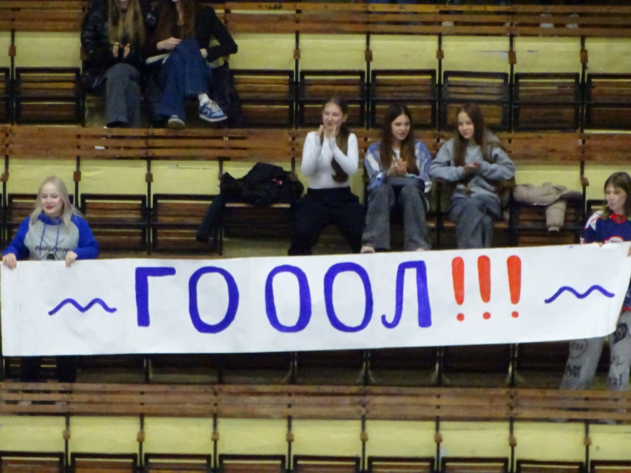 Матч саратовских хоккеистов против «Ермака» завершился массовой дракой