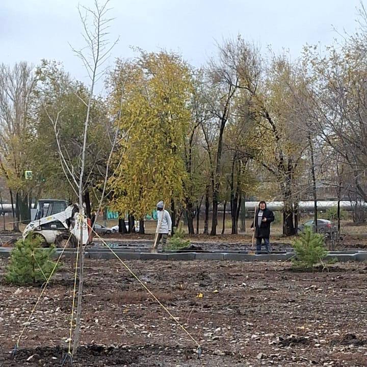 В Саратове на территории онкодиспансера высадили свыше 100 деревьев и кустарников