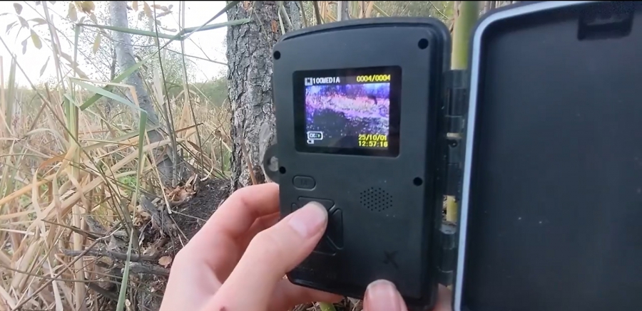 У ученых-экологов в урочище «Лысая гора» украли фотоловушки