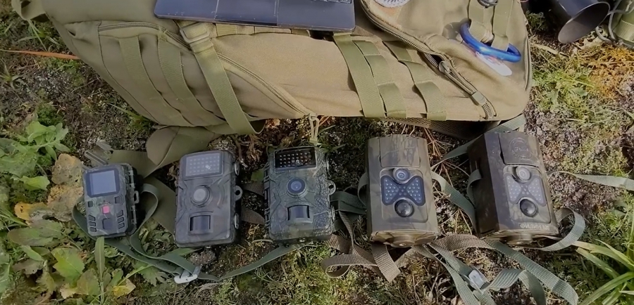 У ученых-экологов в урочище «Лысая гора» украли фотоловушки