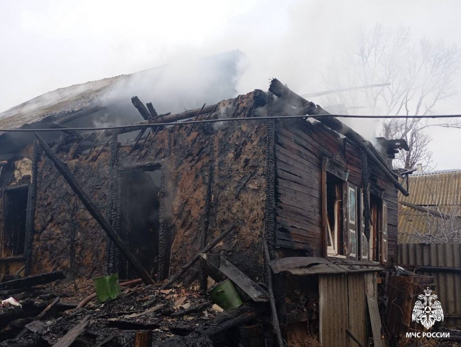 Под Вольском кот разбудил уснувшего курильщика и спас его на пожаре